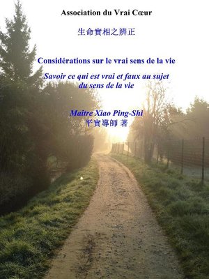 cover image of CONSIDÉRATIONS SUR LE VRAI SENS DE LA VIE